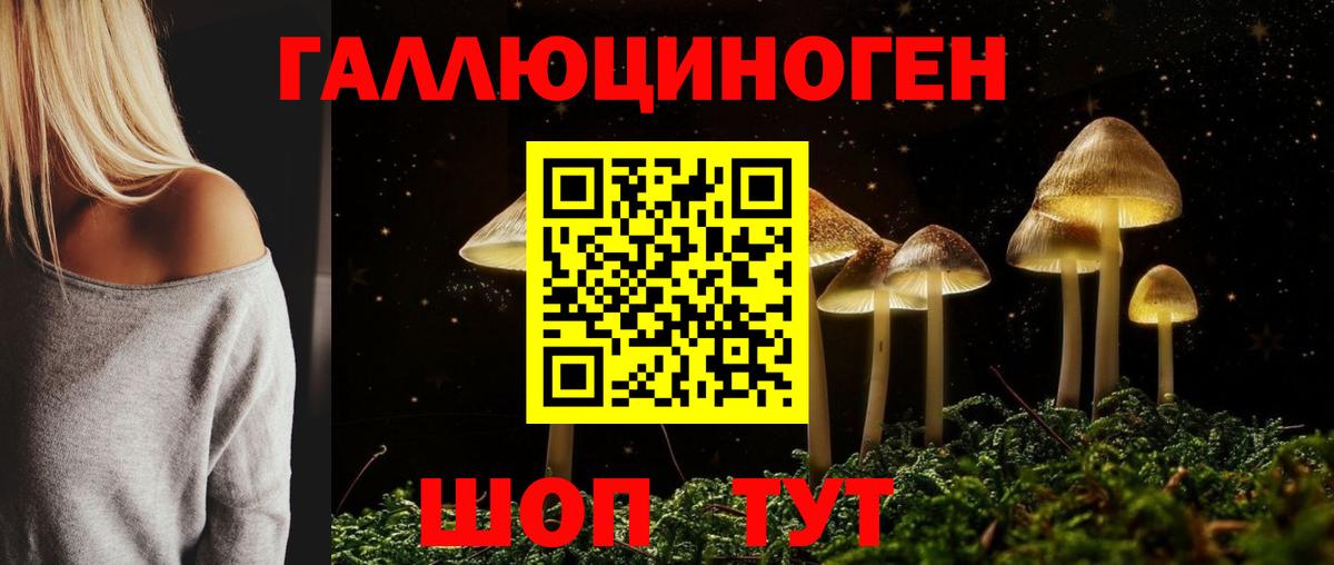 Псилоцибиновые грибы мухоморы Алексин