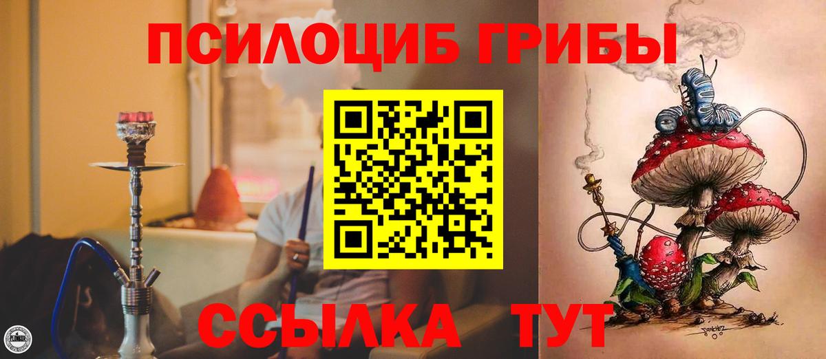 Алексин  Псилоцибиновые грибы Cubensis  Вход с VPN  Галлюциногенные грибы мухоморы 